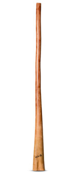 Wix Stix Didgeridoo (WS138)